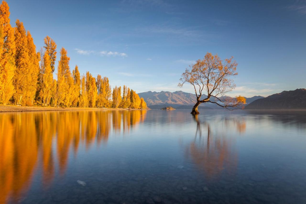 Archway Motels & Chalets Wanaka Exteriér fotografie